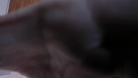 Snapshot of camilaa_smith_ chatting on April 2, 7:55 pm camilaa_smith_ online show from April 2, 7:55 pm