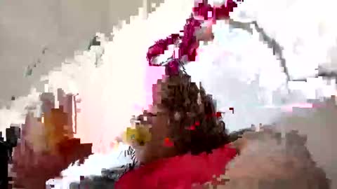 kira online show from January 11, 3:17 pm