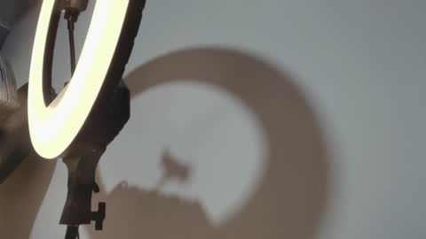 Snapshot of camiloalvarezzz3 chatting on March 15, 1:06 pm CAMILO online show from March 15, 1:06 pm