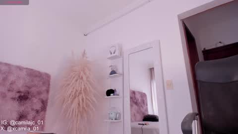 Snapshot of cammile_cole chatting on January 18, 6:43 pm Laura Camila online show from January 18, 6:43 pm
