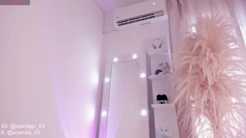 Snapshot of cammile_cole chatting on January 30, 6:21 pm Laura Camila online show from January 30, 6:21 pm