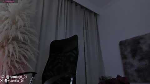 Snapshot of cammile_cole chatting on February 1, 11:48 pm Laura Camila online show from February 1, 11:48 pm