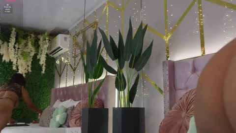 Snapshot of canela_montiel chatting on June 3, 12:52 pm canela_montiel online show from June 3, 12:52 pm