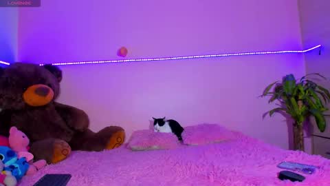 Onika   instagram   canndy888  online show from October 12, 1:37 am