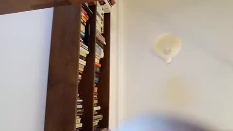 Snapshot of capelon chatting on November 17, 8:03 pm capelon online show from November 17, 8:03 pm