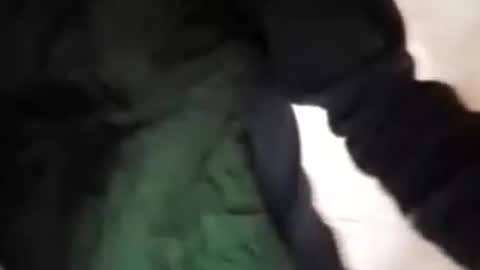 capri34 online show from September 21, 7:48 pm