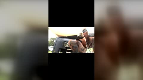 Snapshot of captain_deanos chatting on February 13, 10:06 pm captain_deanos online show from February 13, 10:06 pm