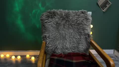 Snapshot of capybaro chatting on December 3, 4:28 pm Neirone online show from December 3, 4:28 pm