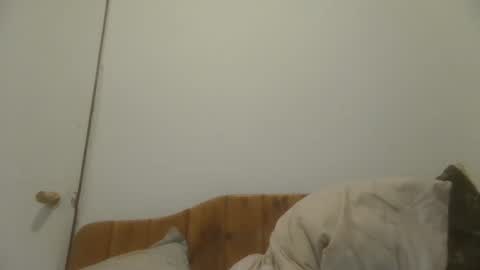 Snapshot of caravibugue chatting on December 7, 1:03 am caravibugue online show from December 7, 1:03 am