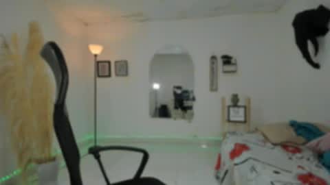 master online show from November 29, 12:41 pm