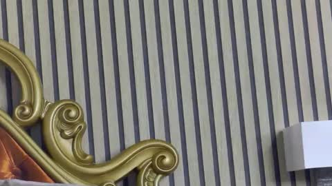 carolinahart online show from May 14, 3:41 pm