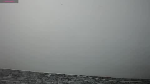 Camelia online show from November 17, 11:32 pm