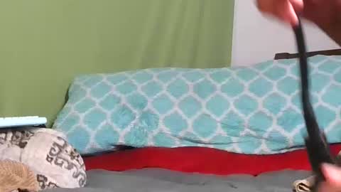 Snapshot of carolinayungin96 chatting on November 11, 10:43 pm carolinayungin96 online show from November 11, 10:43 pm