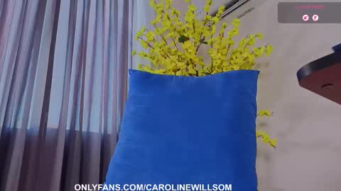  Caroline Willsom  online show from January 18, 10:13 pm