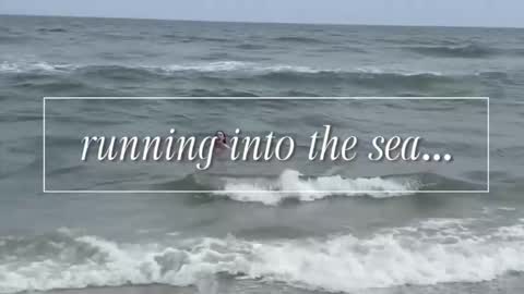 carrie madsin online show from December 2, 11:00 pm