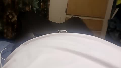 Sir Stroke Alot online show from February 23, 9:00 am