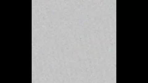cat_cash_ online show from September 12, 5:51 am