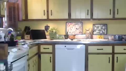 Snapshot of catalystic chatting on October 12, 3:33 pm CATALYSTIC online show from October 12, 3:33 pm