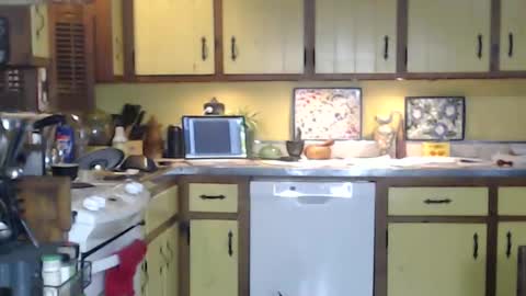 Snapshot of catalystic chatting on October 19, 10:38 am CATALYSTIC online show from October 19, 10:38 am