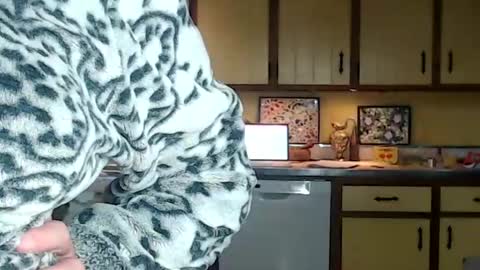 Snapshot of catalystic chatting on October 25, 12:56 pm CATALYSTIC online show from October 25, 12:56 pm