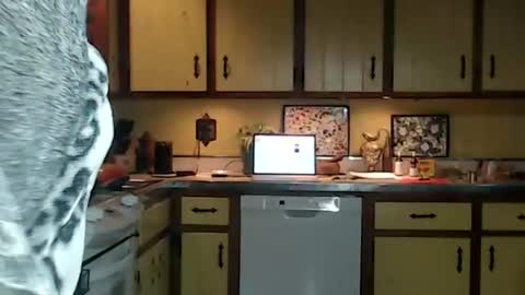 Snapshot of catalystic chatting on October 26, 11:27 am CATALYSTIC online show from October 26, 11:27 am