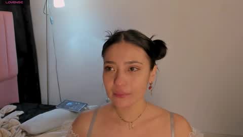 Cat online show from February 3, 3:04 am