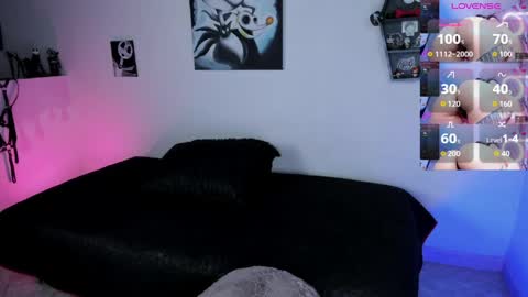 CattNamy online show from April 3, 8:01 am