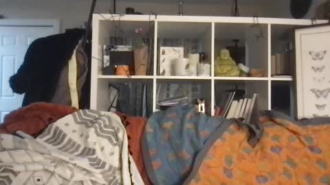 cattypants online show from September 10, 10:48 am