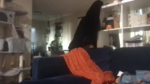 cattypants online show from September 11, 2:11 am
