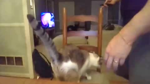 Snapshot of cbisc chatting on March 28, 12:10 am cbisc online show from March 28, 12:10 am