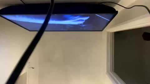 Snapshot of ccsexycam chatting on April 10, 1:00 am ccsexycam online show from April 10, 1:00 am