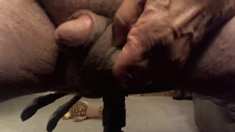 Snapshot of centaur629 chatting on February 13, 2:40 am centaur629 online show from February 13, 2:40 am