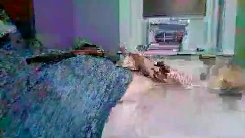 Snapshot of cervixpainter27 chatting on November 3, 1:40 am cervixpainter27 online show from November 3, 1:40 am