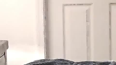 Snapshot of cfnmkinky28 chatting on December 24, 3:05 am cfnmkinky28 online show from December 24, 3:05 am