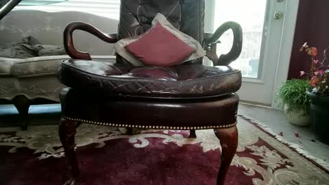 Snapshot of chadinlust1 chatting on December 3, 7:11 pm chad online show from December 3, 7:11 pm