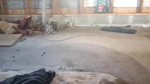 chadr1616 online show from November 15, 3:52 pm