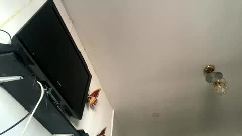 chanelfancy online show from April 26, 1:09 pm