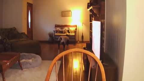 Snapshot of chanosque chatting on February 15, 3:42 pm chanosque online show from February 15, 3:42 pm