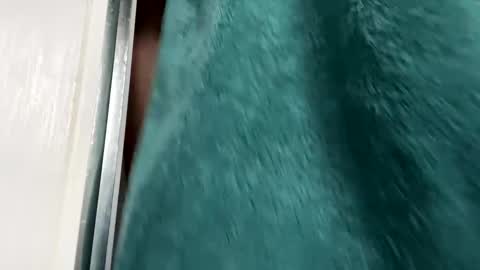 Gary online show from November 29, 8:50 am