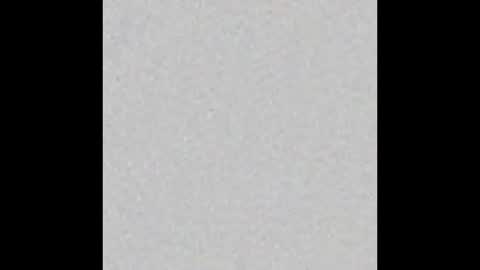 Charlotte online show from November 8, 7:01 pm