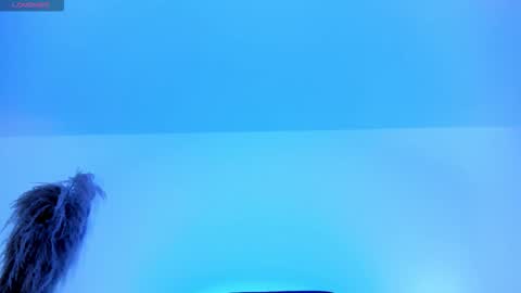 Snapshot of charlotte_whitee1 chatting on October 12, 11:53 am Charlotte Everyday From 0700 to 1300 Col Time online show from October 12, 11:53 am