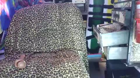 Sah009XXX online show from March 7, 9:50 am