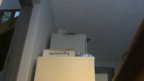 Snapshot of chaturbatordeluxe chatting on November 17, 3:34 am chaturbatordeluxe online show from November 17, 3:34 am