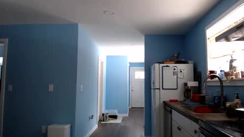 Chelsea online show from March 24, 4:12 pm