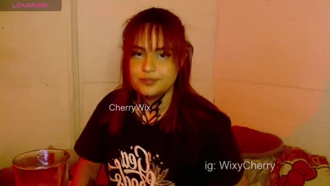 Snapshot of cherrywix chatting on December 26, 3:59 am cherrywix online show from December 26, 3:59 am