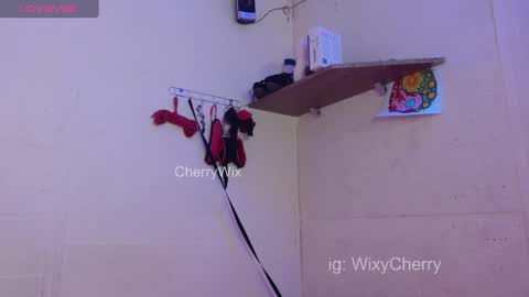 Snapshot of cherrywix chatting on February 20, 2:07 am cherrywix online show from February 20, 2:07 am