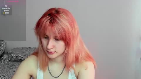 choco_meowx online show from May 6, 8:41 am
