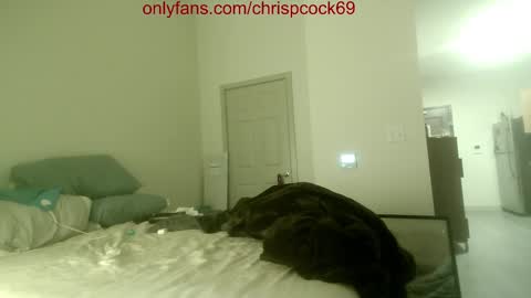 Snapshot of chrispcock69 chatting on November 24, 4:01 am Mystery Man online show from November 24, 4:01 am