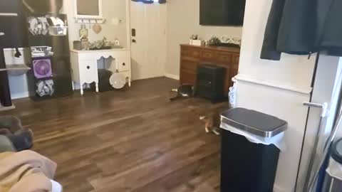 ChubbyHubby420 online show from September 12, 1:44 pm