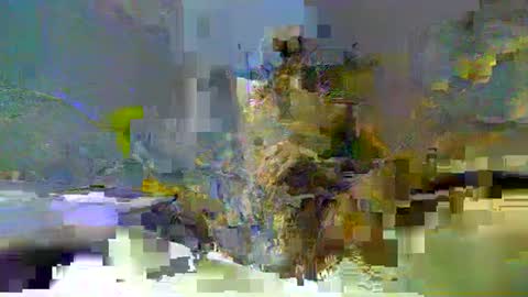 Snapshot of chuck354139 chatting on February 13, 3:14 pm chuck354139 online show from February 13, 3:14 pm